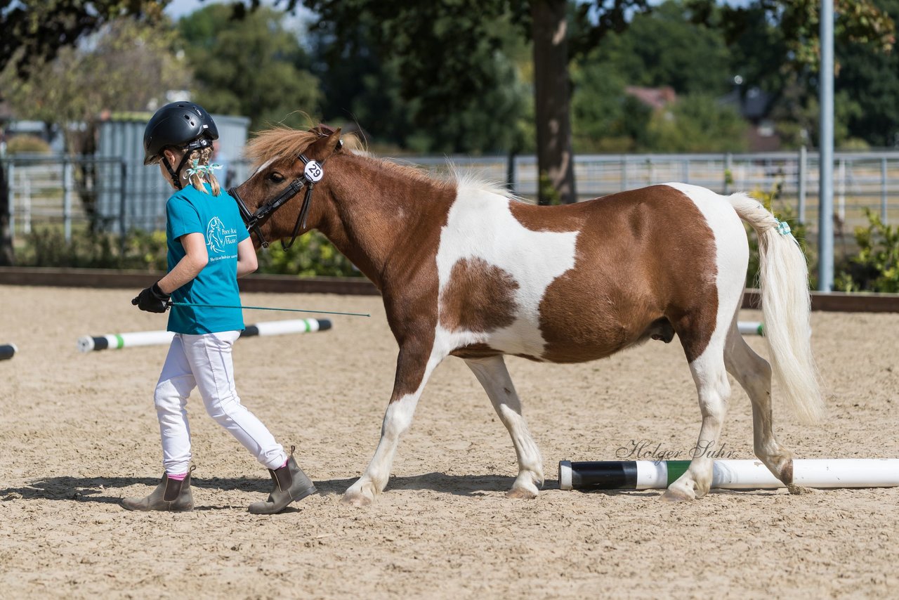 Bild 214 - Pony Akademie Turnier